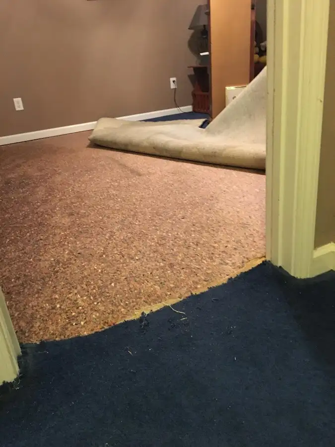 Carpet pad removal revealing water damage during Drying & Dehumidification in McHenry